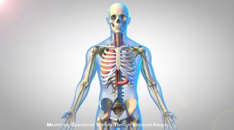 The Integrative Science of Full-Body Aesthetic Refinement