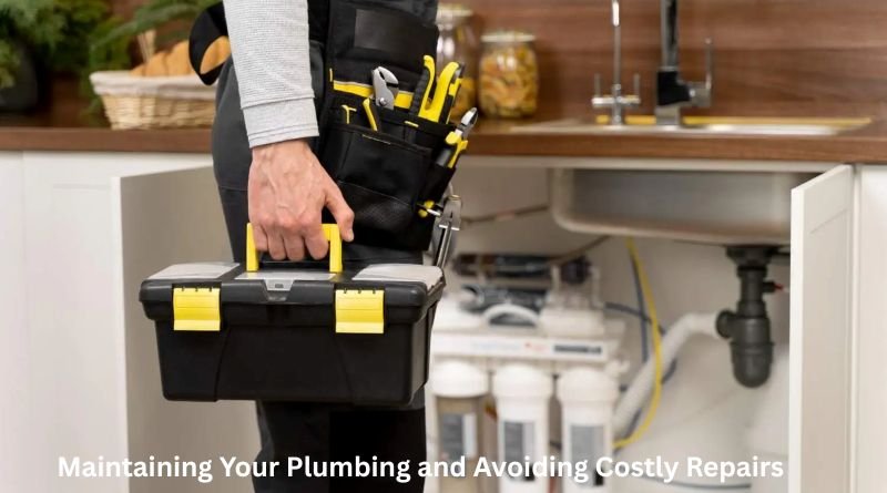 Maintaining Your Plumbing and Avoiding Costly Repairs